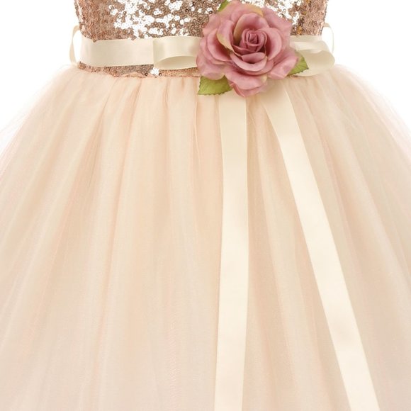 Girls Sleeveless Shiny Tulle Bridesmaid Party Birthday Flower Girl Dress Blush - Picture 4 of 4